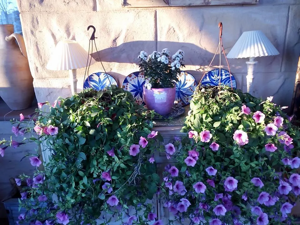 لا ثوبيا Laurel De La Reina Bed & Breakfast - Boutique 0*, لا ثوبيا